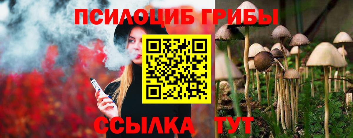 Владивосток  Галлюциногенные грибы Cubensis  Вход с VPN 